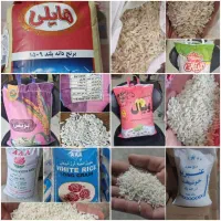 پخش حبوبات عمده