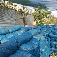 خاک مرغوب گیاهان آپارتمانی