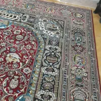 قالی ۱۲ متری|فرش|گرگان, |دیوار