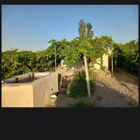 باغچه و باغ|فروش خانه و ویلا|نوشین شهر, |دیوار