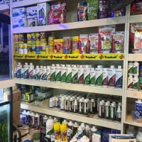 آکواریوم بزرگ جزیره|ماهی|اردبیل, |دیوار