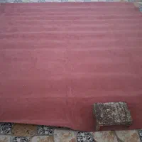 موکت ۱۲ متری