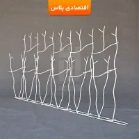 شاخ گوزنی (دژهود)|مصالح و تجهیزات ساختمان|قم, انسجام|دیوار