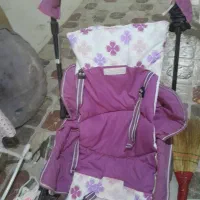 کالسکه خوش رنگ و سالم