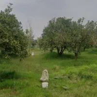 زمین-باغی-رامیان