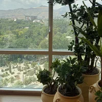 پزشک|استخدام درمانی، زیبایی، بهداشتی|تهران, جردن|دیوار