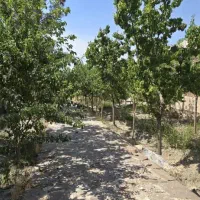 ویلایی-150متر-کلنگی-فروشی