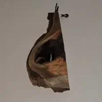 لوستر چوبی و چراغ خواب چوبی|لوستر و چراغ آویز|مشهد, شهرک بهارستان|دیوار