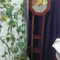 ساعت|ساعت دیواری و تزئینی|سمنان, |دیوار