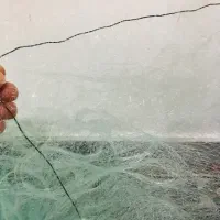 تلضیم بالات شبچ ازوینی