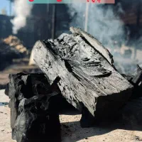 تولید ذغال کبابی و مرکبات 40 تن در ماه|عمده‌فروشی|سورک, |دیوار