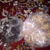 فروش توم که رس توم پسل توم پیچک