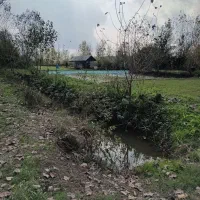 فروش زمین کشاورزی واقع در ارباستان لاهیجان|فروش دفتر صنعتی، کشاورزی، تجاری|لنگرود, |دیوار