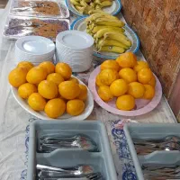 تور ریلی کربلا|تور و چارتر|کرمان, |دیوار