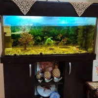 آکواریوم کامل|ماهیگیری|تهران, نظام‌آباد|دیوار