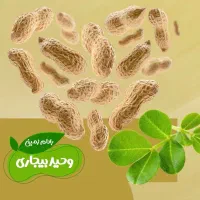 استخدام ۴ نفر نیروی کار آقا|استخدام صنعتی، فنی، مهندسی|آستانه اشرفیه, |دیوار