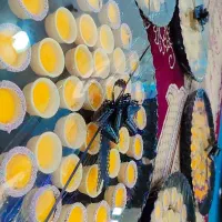 حلوا با کیفیت و خوشمزه مزه دار شده با زعفران اصل|خدمات پذیرایی، مراسم|بهبهان, |دیوار