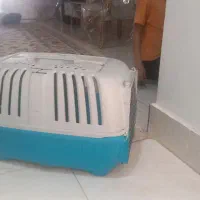 باکس و قفس سگ|لوازم جانبی حیوانات|مشهد, مشکینی (شهرک غرب)|دیوار