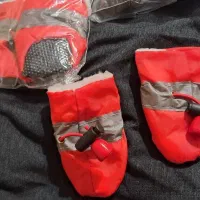 Pet shoes (کفش Pet)|لوازم جانبی حیوانات|تهران, جوانمردان (اندیشه)|دیوار