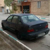 دوو سی یلو ۸۱