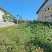 زمین۲۰۰مترسندتکبرگ،روستای قروق|فروش زمین و ملک کلنگی|تالش, هشتپر|دیوار