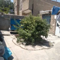 فروش خانه ویلایی ۲۰۰ متری|فروش خانه و ویلا|چناران, |دیوار