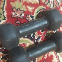 ۲ عدد دنبل ۲ کیلویی