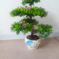 گل و گلدان شیک