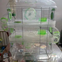 قفس جوندگان|موش و خرگوش|تهران, سازمان برنامه جنوبی|دیوار