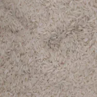 برنج علی کاظمی درجه 1