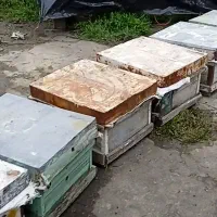 کندو چوبی زنبور عسل|لوازم جانبی حیوانات|فرح آباد, |دیوار