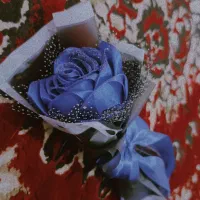 گل.|گل مصنوعی|گنبد کاووس, |دیوار