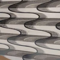 زبرا و پرده مخمل