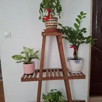 فرش چهار متری دو عدد|فرش|ری, صفاییه (چشمه علی)|دیوار