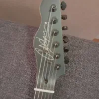 گیتار الکتریک Chapman ML-1 نسخه محدود|گیتار، بیس، امپلیفایر|تهران, الهیه|دیوار