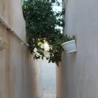 خانه فروشی|فروش خانه و ویلا|شیراز, شیخ علی چوپان|دیوار
