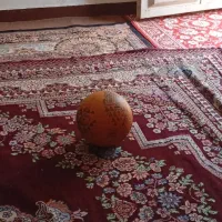 توپ فوتبال|ورزش‌های توپی|اهواز, فاز ۵ پاداد|دیوار