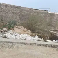 زمین طولا شقایق ۳۲