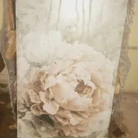 کاشی|لوازم سرویس بهداشتی|تربت جام, یحیی آباد|دیوار