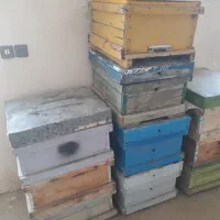 عسل طبیعی وخالص ۴۰گیاه|خوردنی و آشامیدنی|آوج, |دیوار