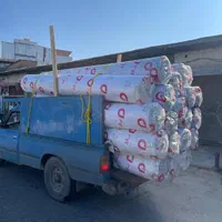 پالاز موکت|موکت|گرگان, |دیوار