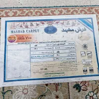 (اندیشه۹۳)یک عددفرش دوازده متری هفتصدشانه مشهد|فرش|مشهد, مشکینی (شهرک غرب)|دیوار