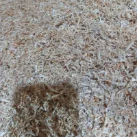 پوشال نجاری