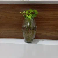 مراقبت کودک و امور منزل