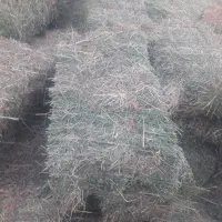 علوفه (یونجه )|عمده‌فروشی|سراب, |دیوار