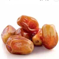 خرما زاهدی تناژ بالا فروش فقط عمده و تناژ