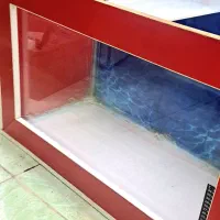 آکواریوم|ماهی|نمین, |دیوار