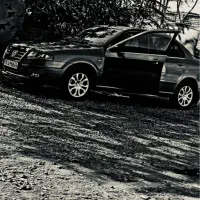 راننده شخصی میشم‌