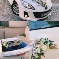 رز هلندی ۲۵هزار ماشین عروس باکس‌گل دسته گل تاج گل|گل و گیاه طبیعی|کرج, فاز ۱ مهرشهر|دیوار