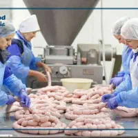 نیروی تولید و انبار